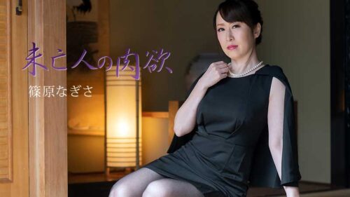 HEYZO 2511 Widow’s Sexual Desire Vol.3 – Nagisa Shinohara