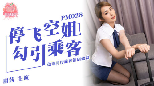 MD-PM028 停飛空姐勾引乘客-唐茜