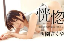 The Ecstasy: Sex With A Big Boobs Beauty Sakuya Nishizono